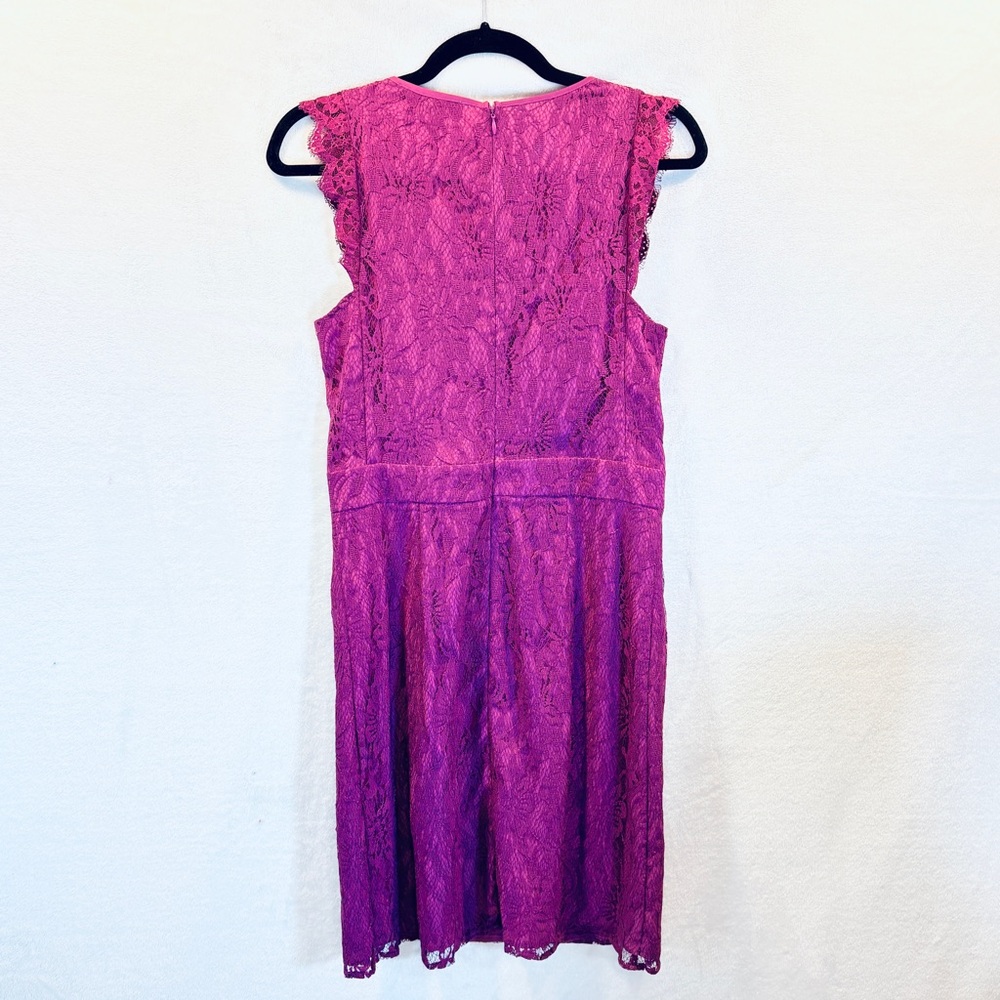 NWT Brixon Ivy Lace Dress - Picture 4 of 9